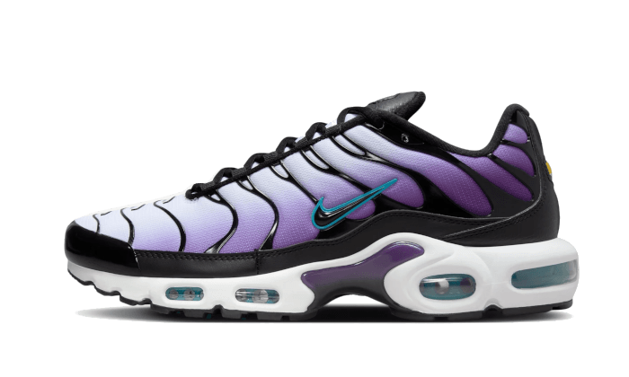 Nike Air max Plus Reverse Grape