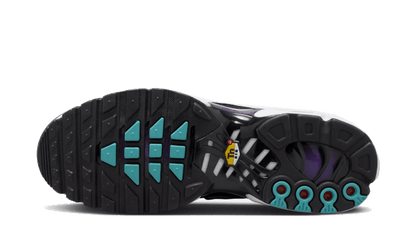 Nike Air max Plus Reverse Grape